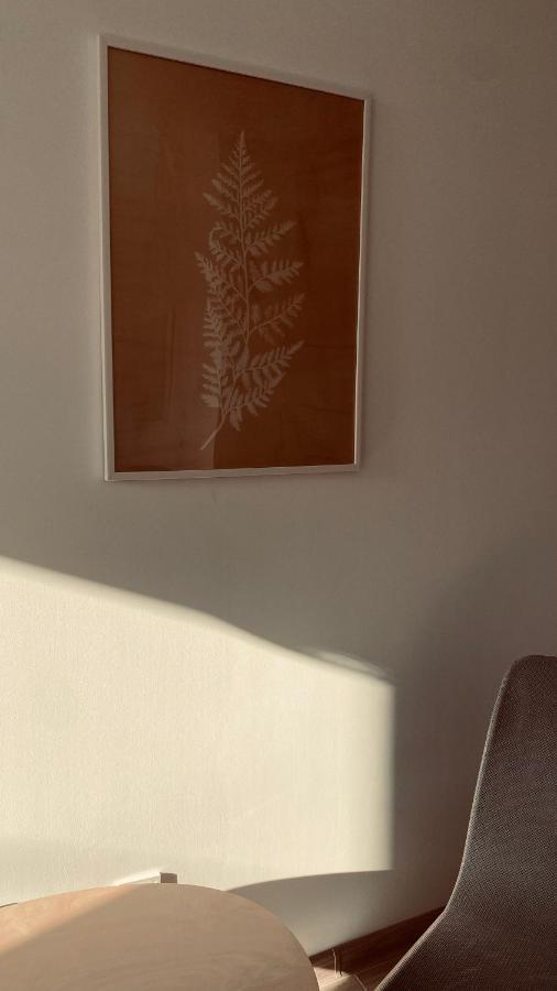 Apartament Vintage ムロンゴヴォ エクステリア 写真