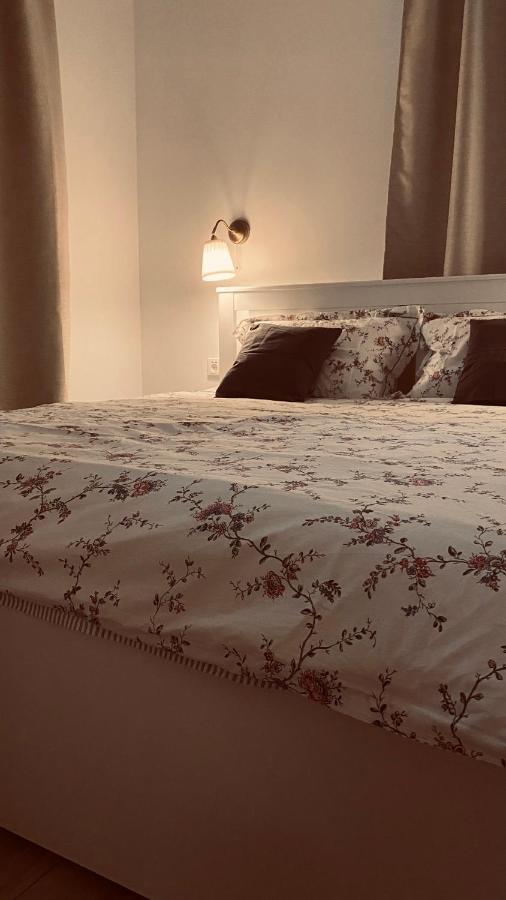 Apartament Vintage ムロンゴヴォ エクステリア 写真